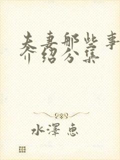 夫妻那些事剧情介绍分集