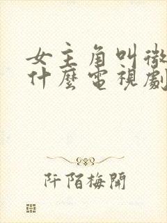 女主角叫微微是什么电视剧