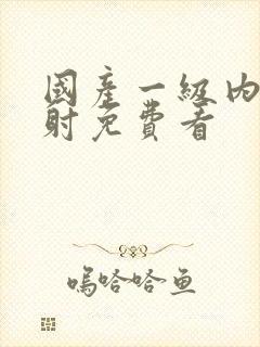 国产一级内片内射免费看