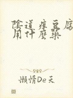 阴道痒豆腐渣该用什么药