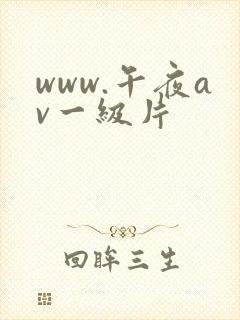 www.午夜av一级片
