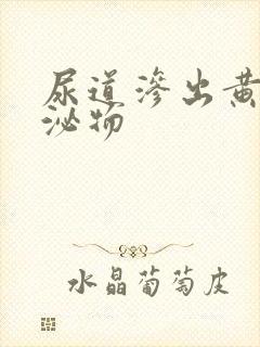 尿道渗出黄色分泌物封面