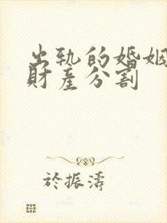 出轨的婚姻离婚财产分割封面