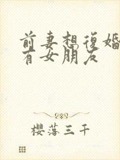 前妻想复婚但已有女朋友封面