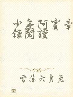 少年阿宾章节目录阅读封面