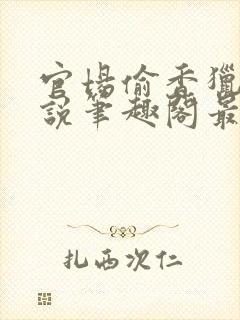 官场偷香猎艳小说笔趣阁最新章节列表封面