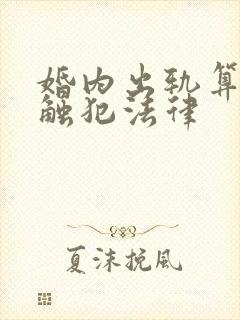 婚内出轨算不算触犯法律封面