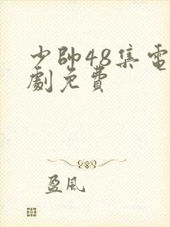 少帅48集电视剧免费