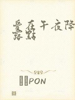 爱在午夜降临前露点