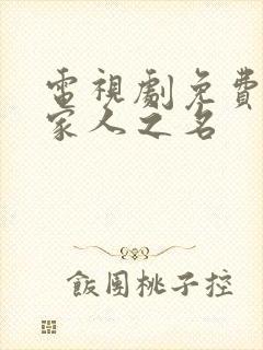 电视剧免费看以家人之名