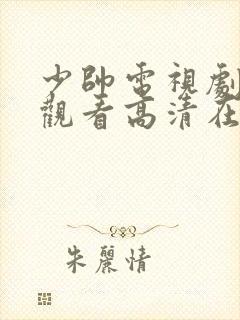 少帅电视剧免费观看高清在线封面