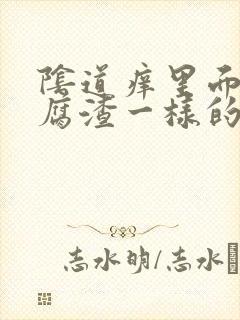 阴道痒里面有豆腐渣一样的白东西