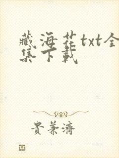 藏海花txt全集下载