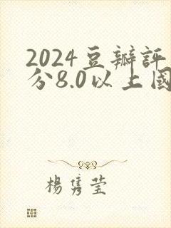 2024豆瓣评分8.0以上国产连续剧