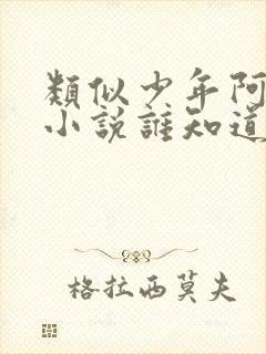 类似少年阿宾的小说谁知道几部封面