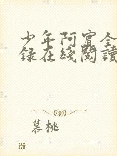 少年阿宾全文目录在线阅读