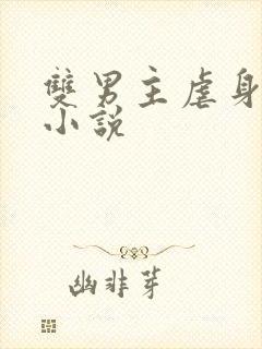 双男主虐身虐心小说封面