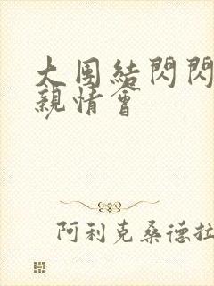 大团结闪闪发光亲情会封面