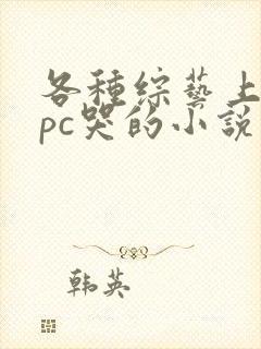 各种综艺上被npc哭的小说免费阅读