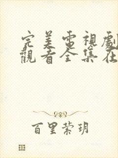 完美电视剧免费观看全集在线观看