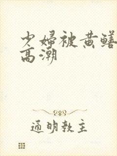 少妇被黄鳝玩得高潮