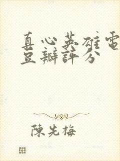 真心英雄电视剧豆瓣评分