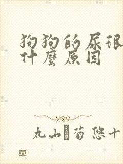 狗狗的尿很黄是什么原因