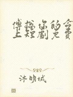 傅总你的命我续上短剧免费观看