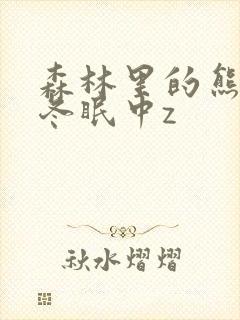 森林里的熊先生冬眠中z