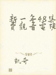 新一年48集免费观看电视剧封面