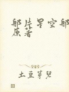 那片星空那片海原著
