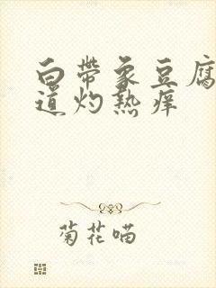 白带象豆腐渣阴道灼热痒