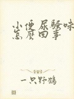 小便尿骚味重是怎么回事