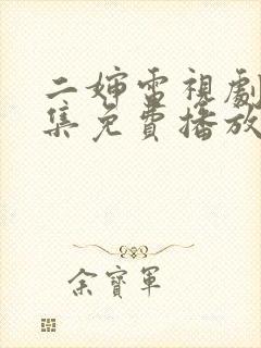 二婶电视剧40集免费播放