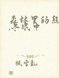 森林里的熊先生,冬眠中