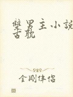 双男主小说推荐古耽