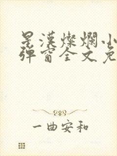 星汉灿烂小说无弹窗全文免费阅读