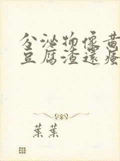 分泌物像黄绿色豆腐渣还瘙痒