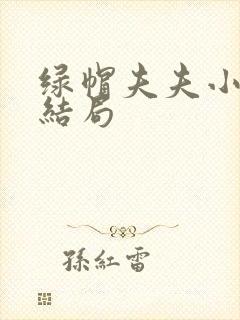 绿帽夫夫小说大结局