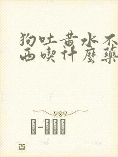 狗吐黄水不吃东西吃什么药