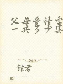 父母爱情电视剧一共多少集