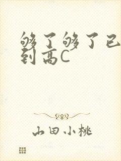 够了够了已经满到高C封面