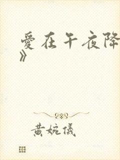 爱在午夜降临前》封面