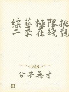 综艺极限挑战第二季在线观看封面