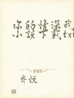 你的情深我不配小说下载txt封面