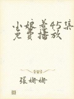 小娘惹45集全免费播放