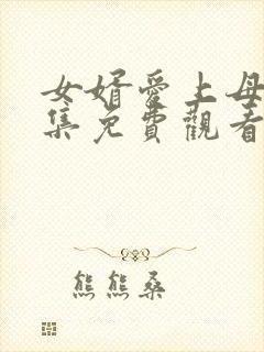 女婿爱上母娘全集免费观看电视剧封面