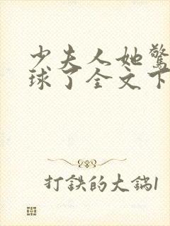 少夫人她惊艳全球了全文下载封面