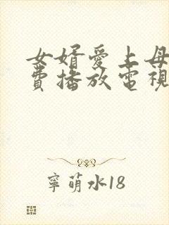 女婿爱上母娘免费播放电视剧剧情