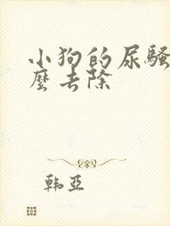 小狗的尿骚味怎么去除封面